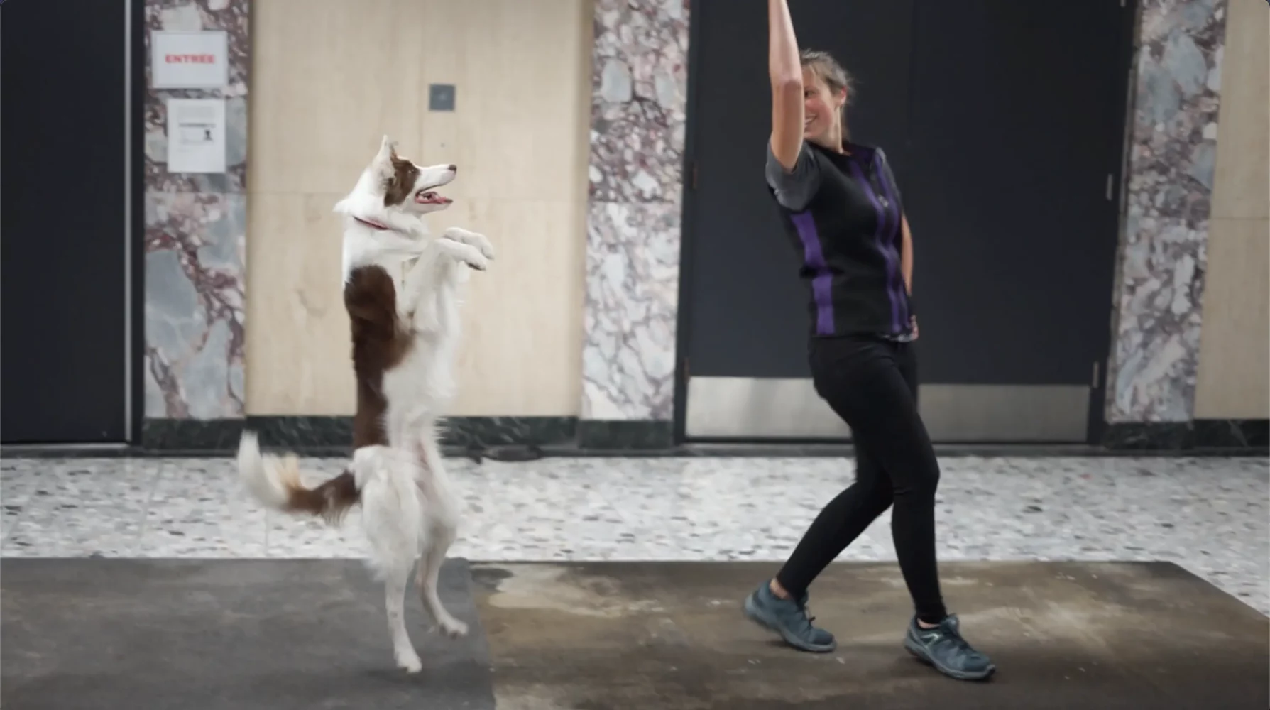 Alexandra cote en performance avec son chien